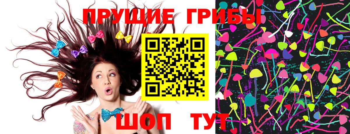 Псилоцибиновые грибы прущие грибы Ливны