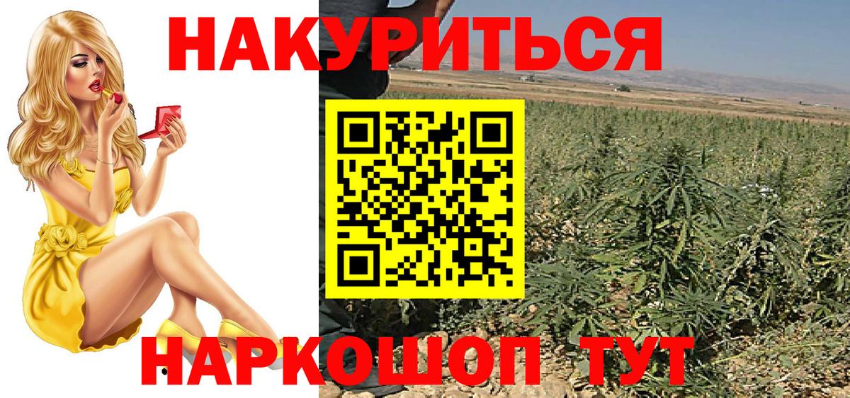 Конопля MAZAR  Канабис план  Вход с VPN  Бошки марихуана планчик  Ливны 